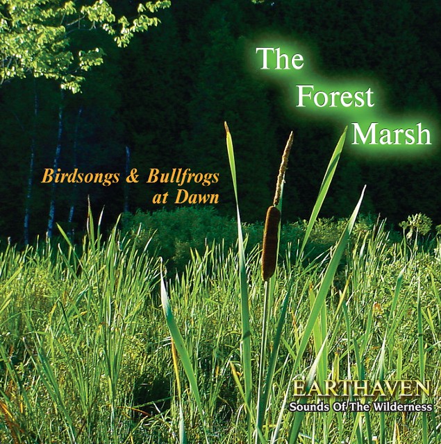 Forest Marsh