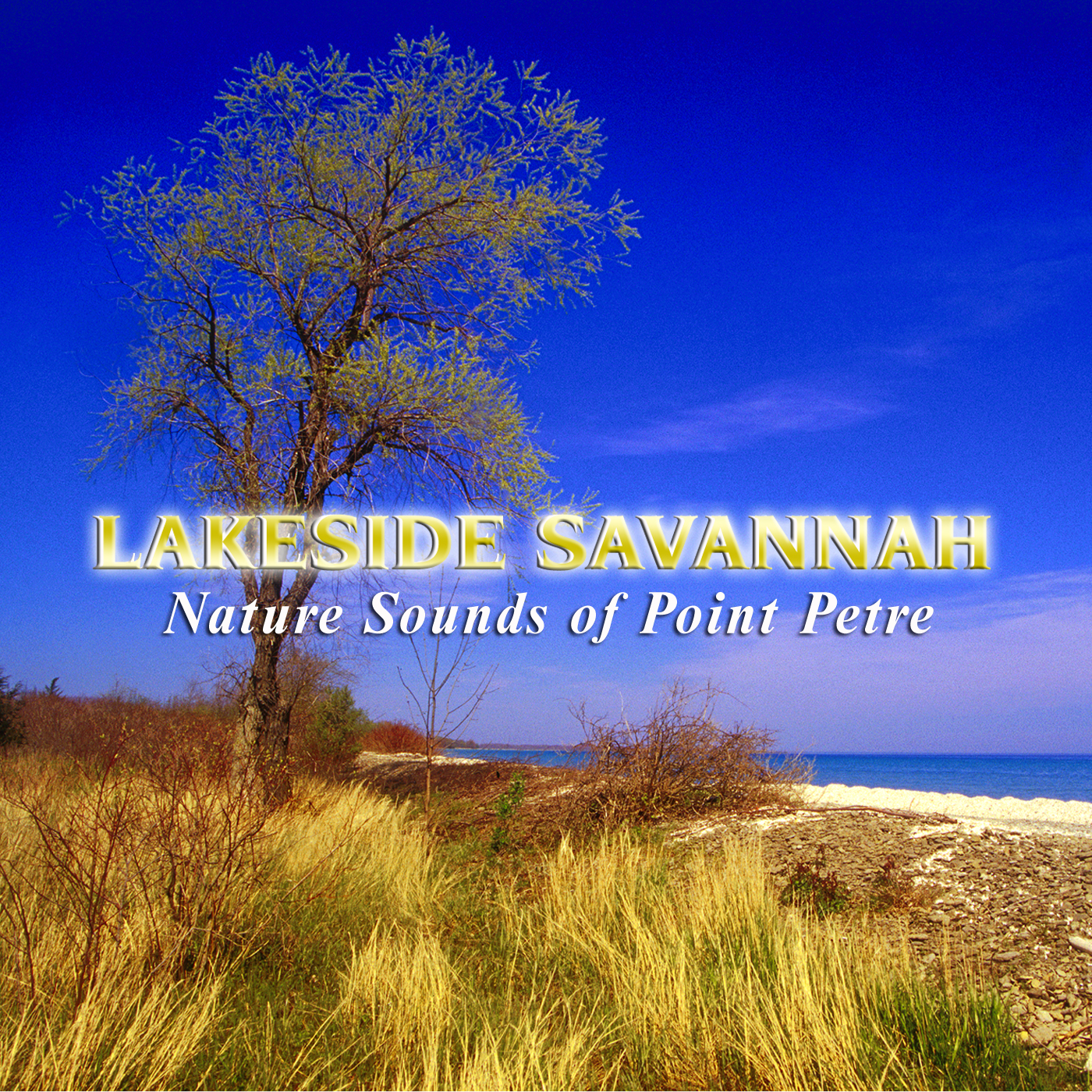 Lakeside Savannah